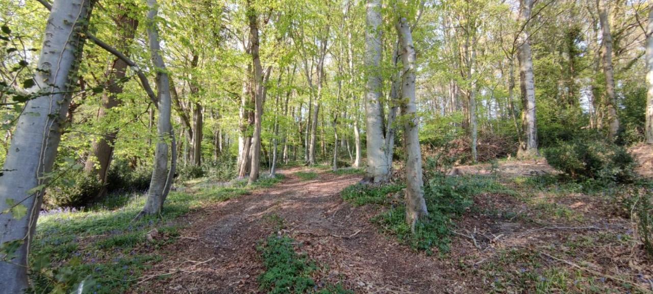 Gites 4,6 Personnes Fecamp Etretat Colleville Екстериор снимка